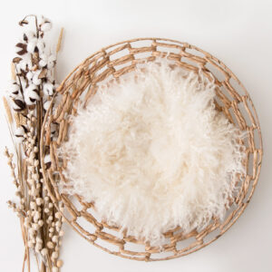 Newborn Digital Backdrop 050 - Cotton Fluff