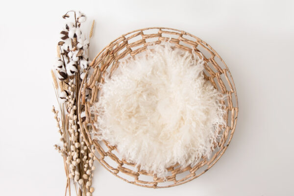 Newborn Digital Backdrop 050 - Cotton Fluff