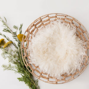 Newborn Digital Backdrop 053 - Wild Flowers