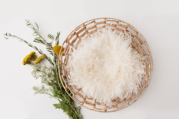 Newborn Digital Backdrop 053 - Wild Flowers