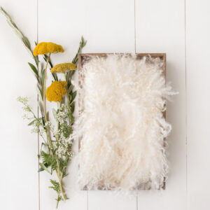 Newborn Digital Backdrop 054 - Wildflower Dreams