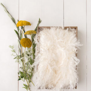 Newborn Digital Backdrop 057 - Wildflower Dreams Vertical