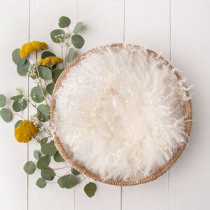 Newborn Digital Backdrop 058 - Sunshine Dreams