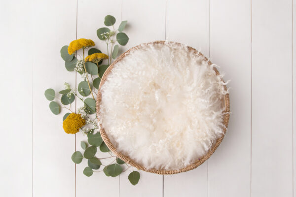 Newborn Digital Backdrop 058 - Sunshine Dreams