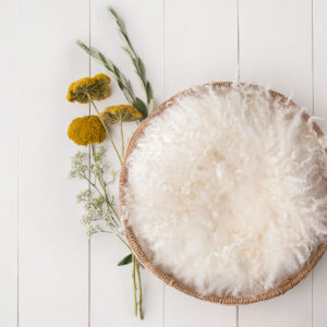 Newborn Digital Backdrop 059 - Simple Circle