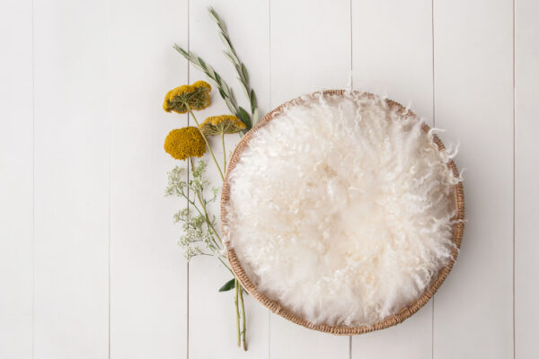 Newborn Digital Backdrop 059 - Simple Circle