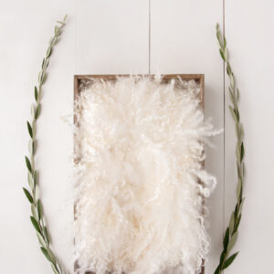 Newborn Digital Backdrop 061 - Olive Arch