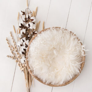 Newborn Digital Backdrop 066 - Sweet Harvest