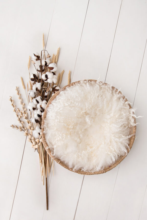 Newborn Digital Backdrop 066 - Sweet Harvest