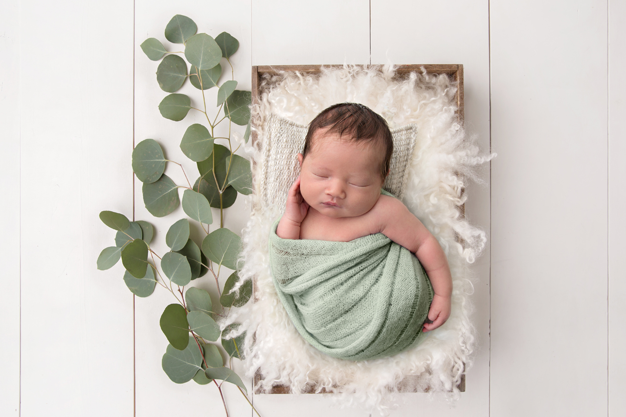 Newborn Baby Photography Prop Digital Backdrop for 